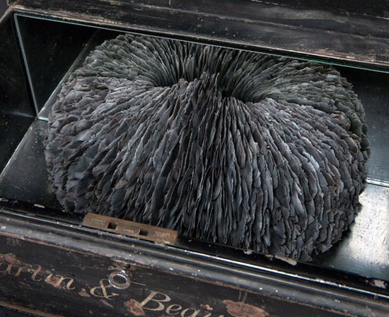 ��(chu��ng)�����}����ϵ����ë����