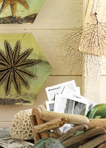 ľɫ����Ʒλ��Ȼ�L(f��ng)ζ���