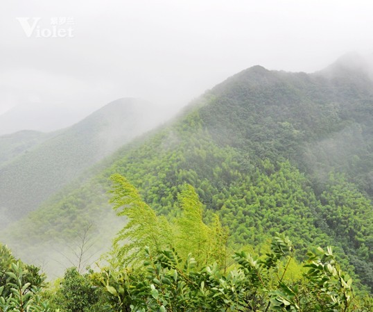 ���_�m�Ј�����ɽ��չ���������ŗ��ĈF(tu��n)�(du��)����