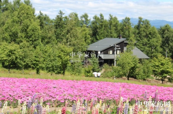 ����Ҽ���푡����ڲ��������ϱ����������������