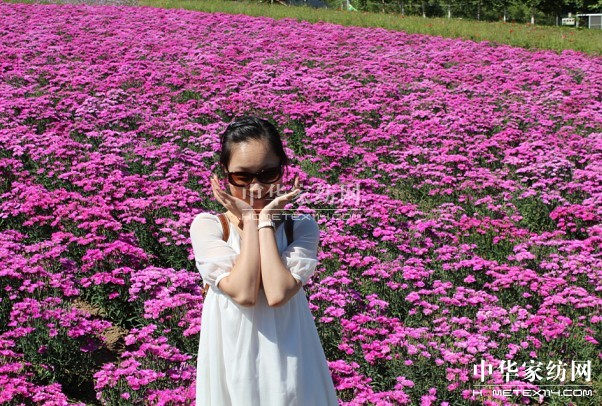 ����Ҽ���푡����ڲ��������ϱ����������������