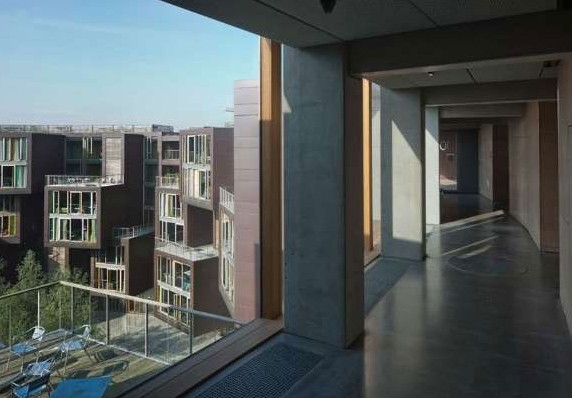 ����W(xu��)�����`�Ё����Ї�����(��)