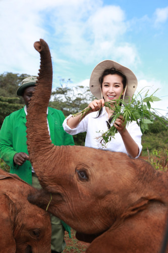李冰冰出演"變四"引熱議非洲認(rèn)養(yǎng)幼象