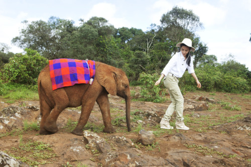 ���������"׃��"�����h�����J(r��n)�B(y��ng)����