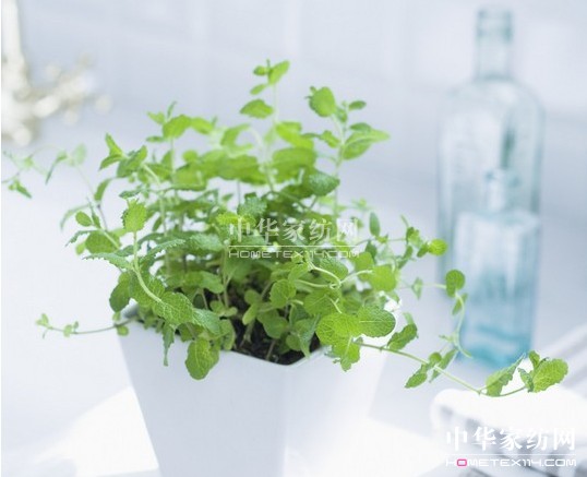 ���_�m���������C(j��)����