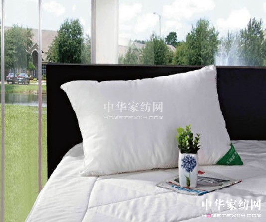 �����Бn�����߾���������˯��