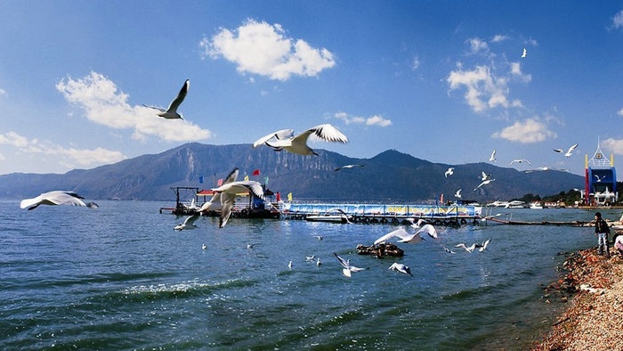 ������;һ·�����L(zh��ng)�ٻ�܇��·�����]��1��