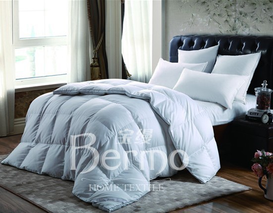 ���z�Ҽ�����¶���㡱��������