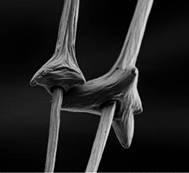 ��q����ʲô��ů�����