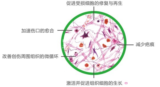 �{(l��n)Ʒ�w�S�Ƽ�������Ʒ�����r��