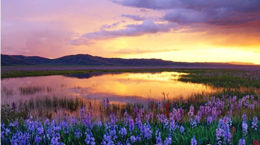 �W�ɼҼ����c����s����������