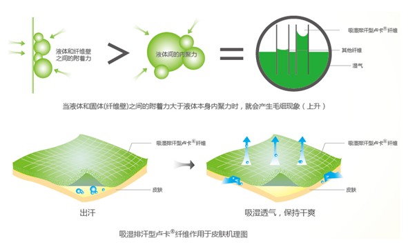 �{(l��n)Ʒ����R���w�S����ˬ˯�߲��ǉ���