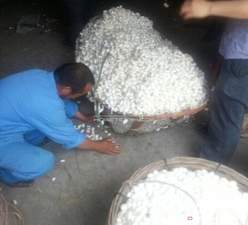 ͩ�l(xi��ng)�����d�ȵ��_ʼ��ُ(g��u)���괺�O