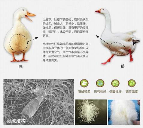 WɼҼu(mi)xُ(gu)Ʒq