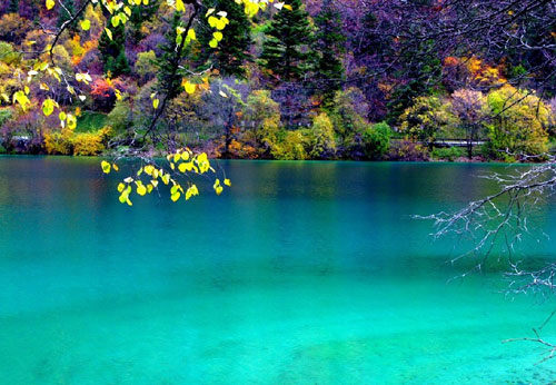 �Ї��Ҽ��f(xi��)�����Ĵ������{(di��o)��