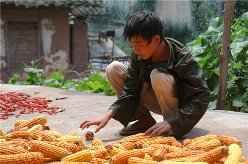 Ʒ�|(zh��)58�����(m��ng)���Ҽ��cȫ��ۼ���һͬ��(m��ng)��