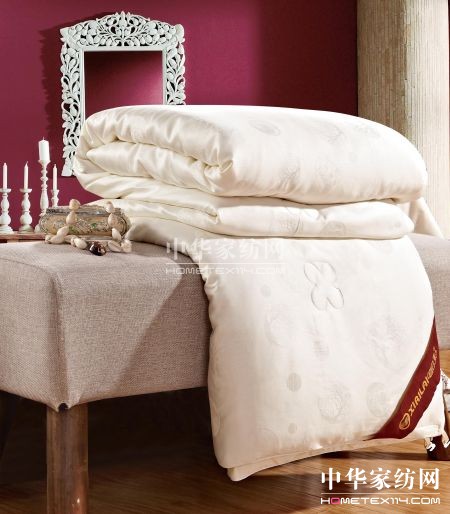 ϲ�Ձ��Ҽ���ʽ�M(j��n)��YƷ�ИI(y��)