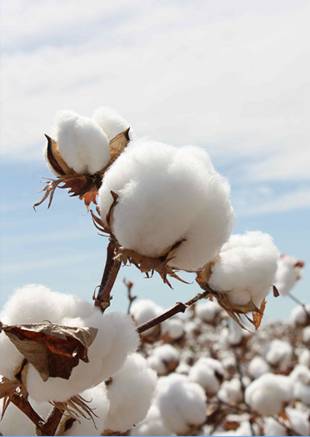 �W�ɼҼ������������ۼ���һ�ӵğ��