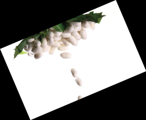 �Q�z���q�r������]�ך���