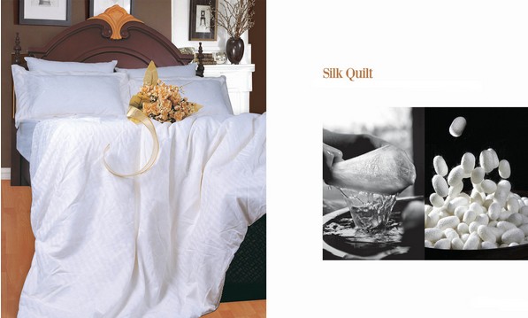 ·߅�Q�z��������Ҫ�� �Q�z���F(tu��n)ُ(g��u)����