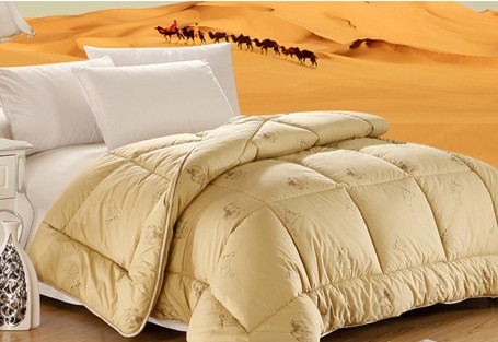 ��·�Ҽ��ﶬ��Ʒ��@�Ј�(ch��ng)�J(r��n)��