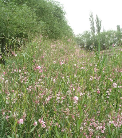 ½һI(y)_(ki)l(f)80֧߼_鼆Ҽļۃr(ji)11f(wn)