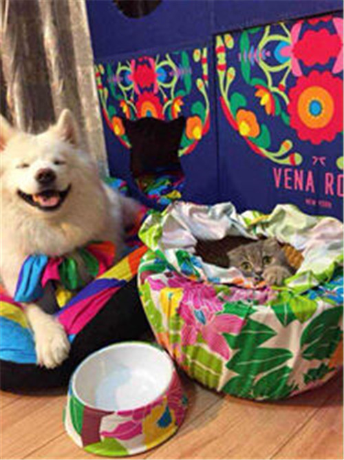 ���Ӷ�����Ψ�_�Ҽ���(d��)�ص��̘I(y��)ģʽ