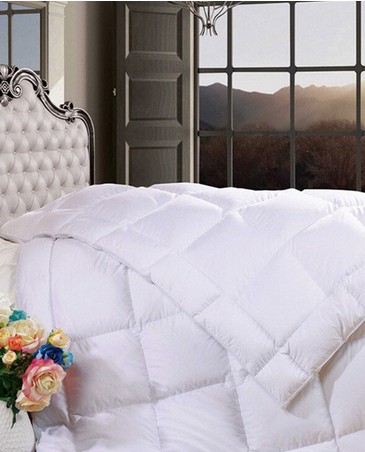 �����ȼҼ�������������(zh��n)�������^(gu��)��