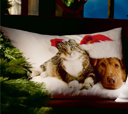 (gu)r(sh)мҼƷʥQ(ji)Ԫؿ|C(j)