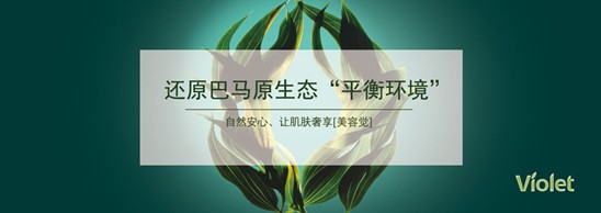 _mҼDf@IӢFķAʢ