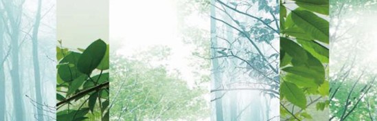 _mCҼ߀ԭRԭB(ti)ƽh(hun)