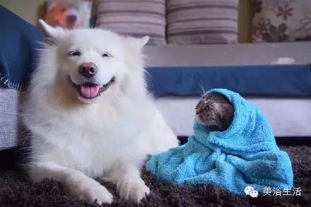 ԡëԌëҲv