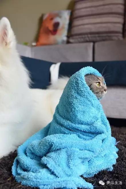 ԡëԌëҲv