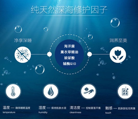 _mڅR`֮VIOLET¶