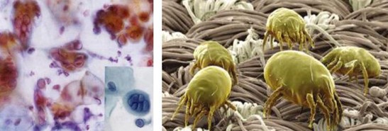 ܽ^f(wn)x(chng)x_mC(j)Ҽ