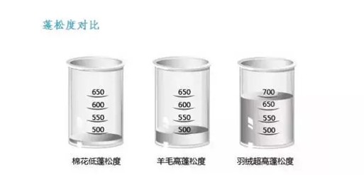 tҼо(ji)mһlq_(ki)ʼ