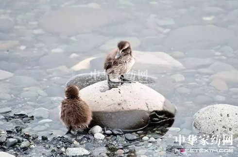 27f(wn)I(mi)²Ҽ""""