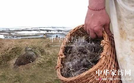 27f(wn)I(mi)²Ҽ""""