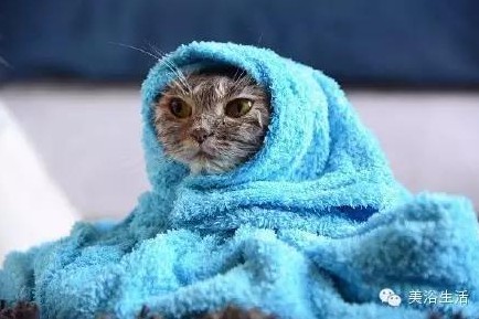 ԡëԌëҲv