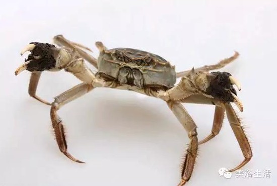 ԡÂĴlззSʳзȯзë