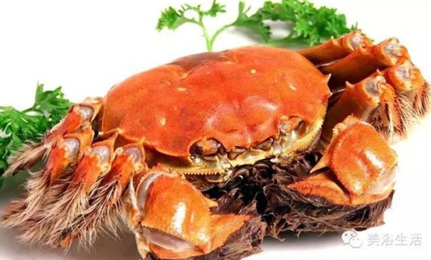 ԡÂĴlззSʳзȯзë