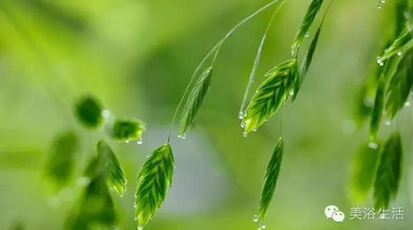 ԡՓһlëB(yng)