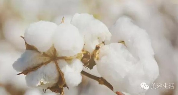 ԡՓһlëB(yng)