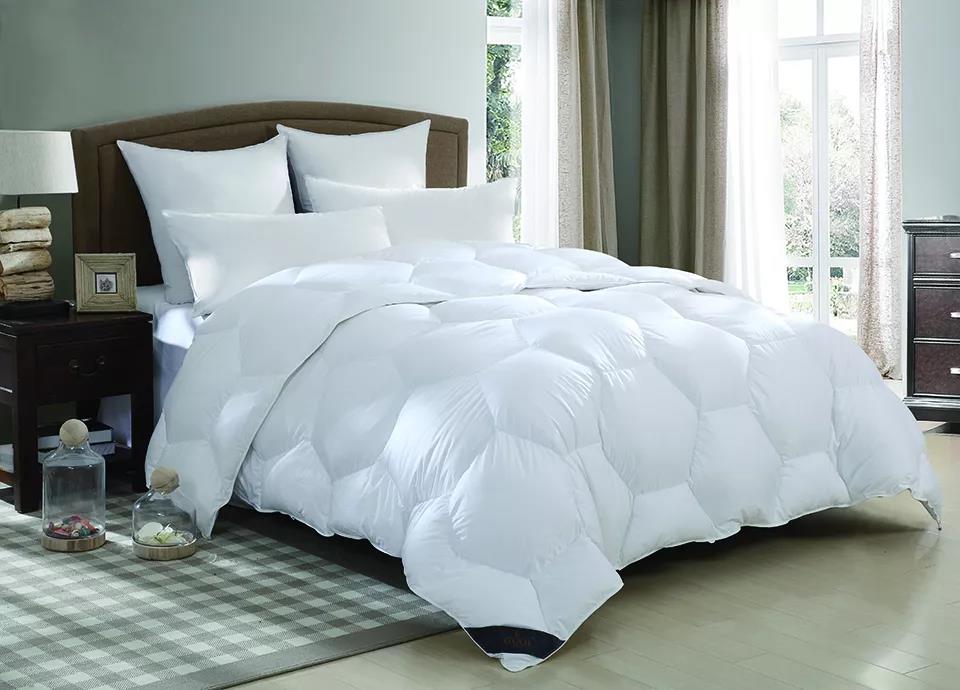 ƷZq(bio)(zhn)_쿴Iı_(bio)˛]