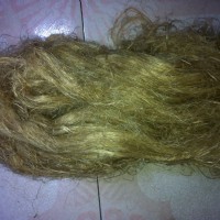 �����L(zh��ng)���w�S