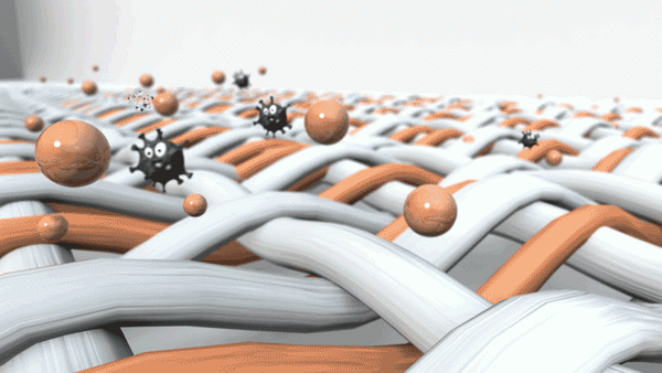 COMOLIVINGƳ~˯ߵęn