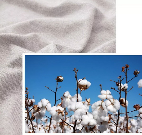 COMOLIVINGƳ~˯ߵęn