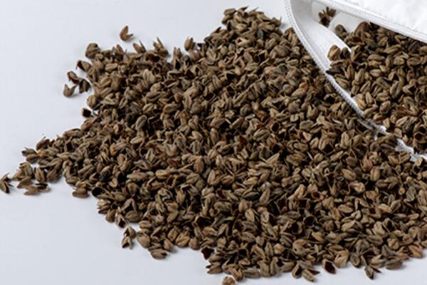 ȻѻҼĸɽwsߴ﷦