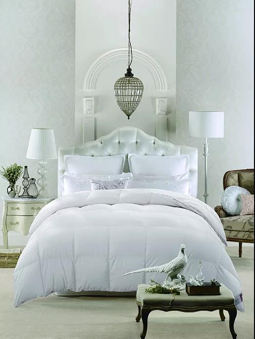 ƷZq˜ʳ_쿴Iı_˛]