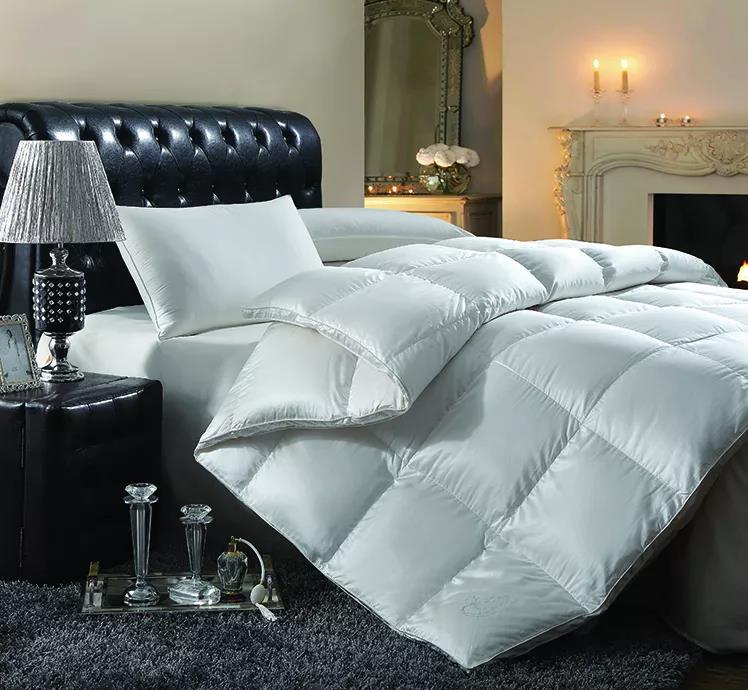 ƷZq˜ʳ_쿴Iı_˛]